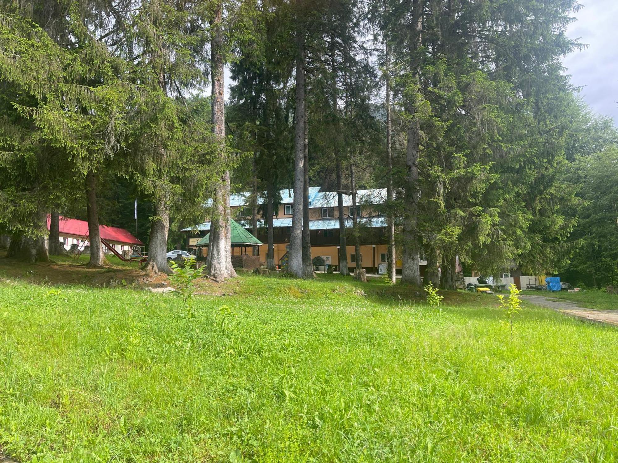 Tabara Cerbu Bucegi Hotel Moroeni Exterior photo