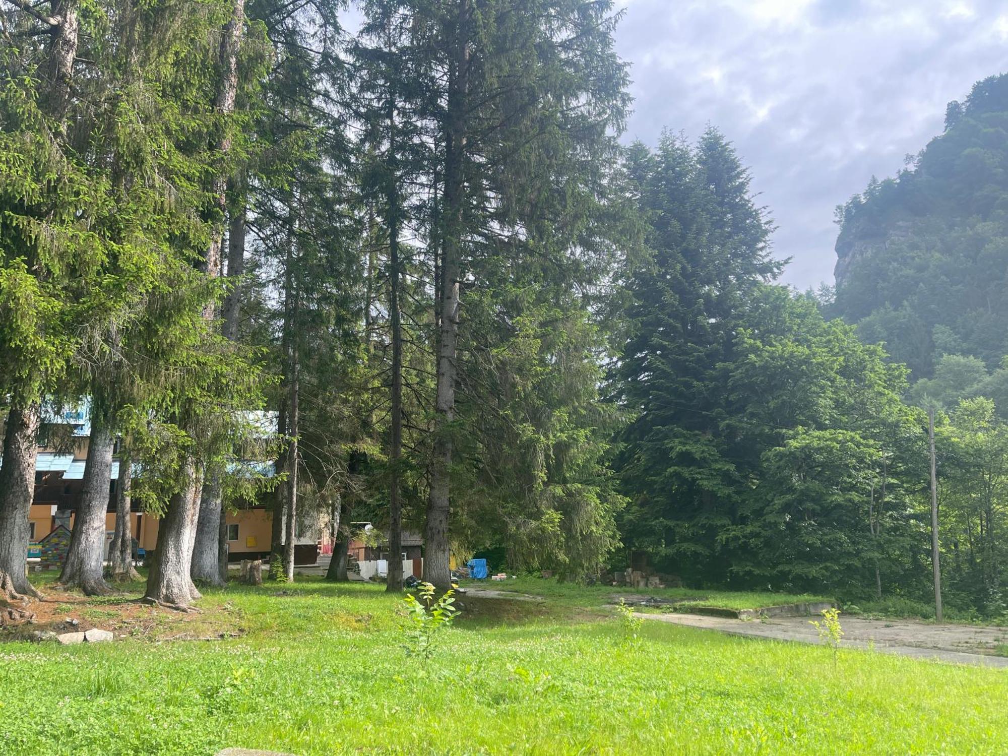 Tabara Cerbu Bucegi Hotel Moroeni Exterior photo