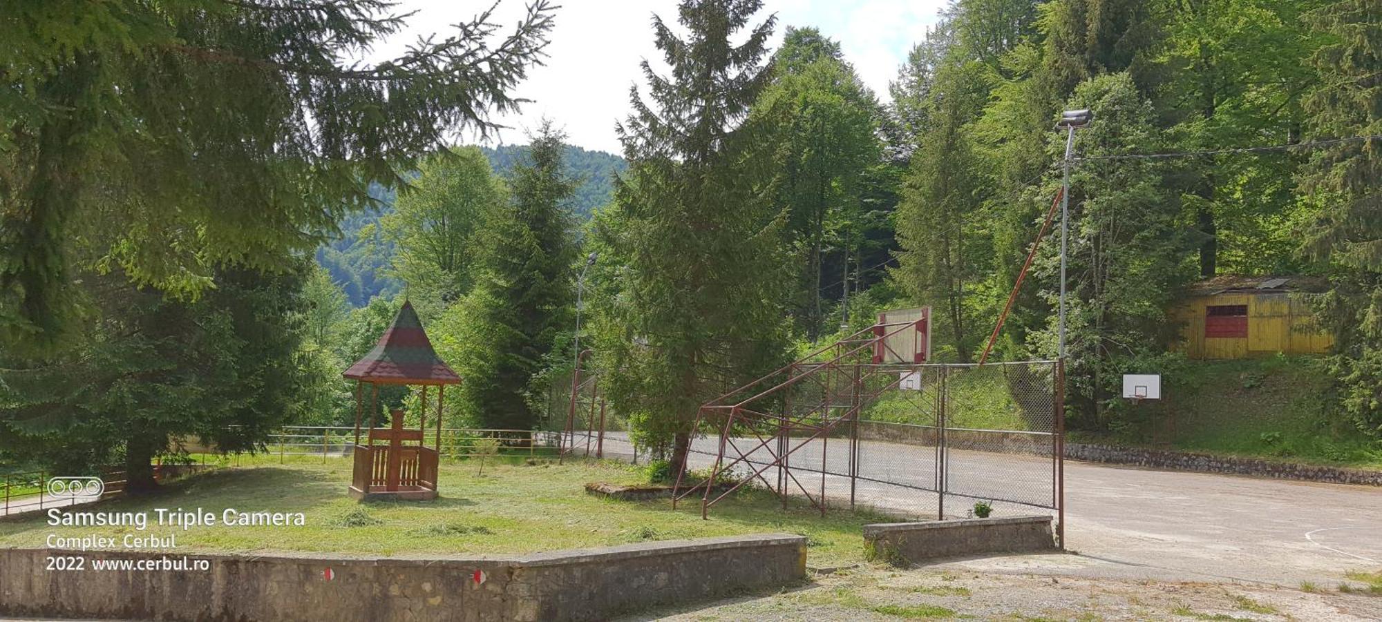 Tabara Cerbu Bucegi Hotel Moroeni Exterior photo